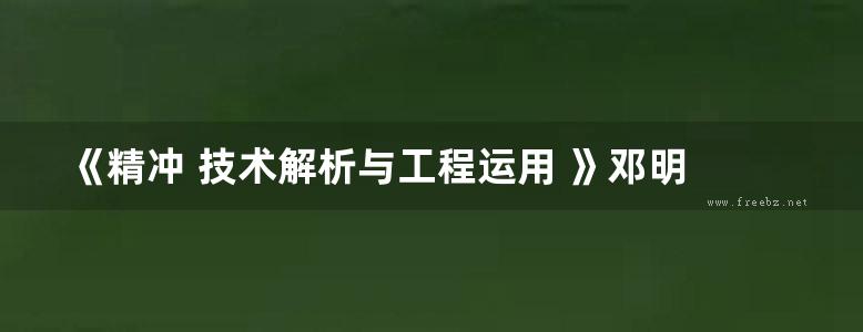 《精冲 技术解析与工程运用 》邓明 吕琳 2017 